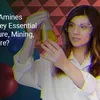 kingsresearch.com