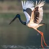 assamtribune.com