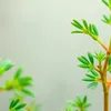 bioengineer.org