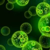biofuels-news.com