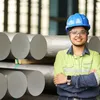 thehindubusinessline.com
