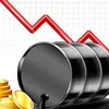 thehindubusinessline.com