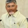 thehindubusinessline.com