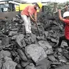 thehindubusinessline.com