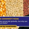 thehindubusinessline.com