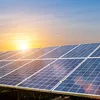carboncredits.com