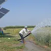 ideasforindia.in
