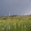 aa.com.tr
