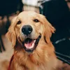 newindianexpress.com