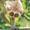 newindianexpress.com