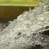 deccanherald.com