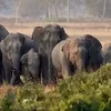 deccanherald.com
