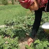 downtoearth.org.in