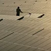 downtoearth.org.in