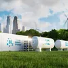 newindianexpress.com