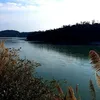 newindianexpress.com