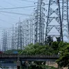 newindianexpress.com