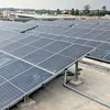 newindianexpress.com