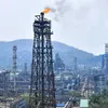 newindianexpress.com