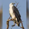 newindianexpress.com