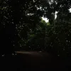 newindianexpress.com