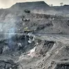 newindianexpress.com