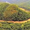 newindianexpress.com