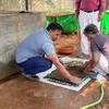 newindianexpress.com