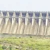 newindianexpress.com