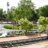 newindianexpress.com
