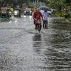 newindianexpress.com