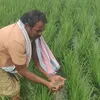 newindianexpress.com