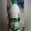 newindianexpress.com