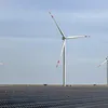 newindianexpress.com
