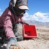 newindianexpress.com
