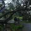 newindianexpress.com