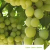 chemindigest.com