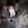 trtworld.com