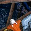 Oil Price