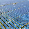 dairybusinessmea.com