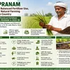 ddindia.co.in