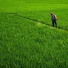 chemicals.economictimes.indiatimes.com