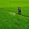 chemicals.economictimes.indiatimes.com