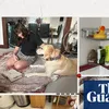 theguardian.com