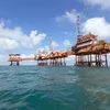 ieefa.org