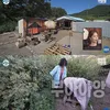 starnewskorea.com