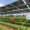 saurenergy.com