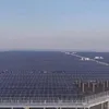 saurenergy.com