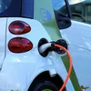 saurenergy.com