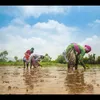 The Economic Times